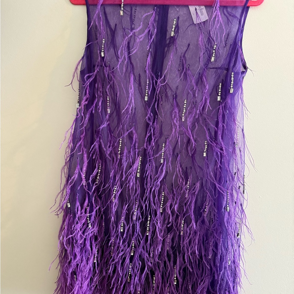 Feather Embellished Elegant Purple Sheer Dress with second piece under dress - Picture 4 of 15